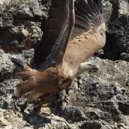 El Mirador De La Holiday home