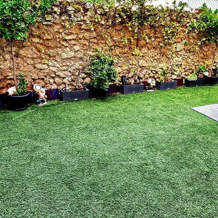 El Mirador De La * Dehesa