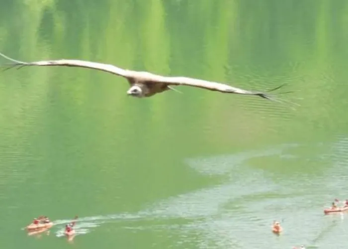 El Mirador De La Prázdninový dům *